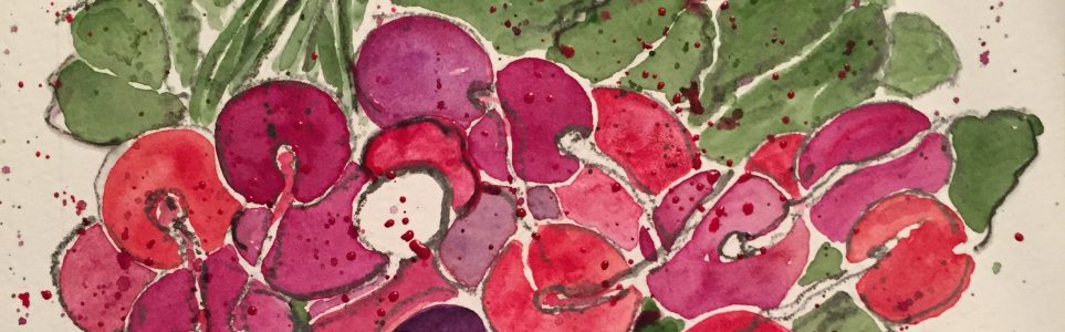 Observations of Life